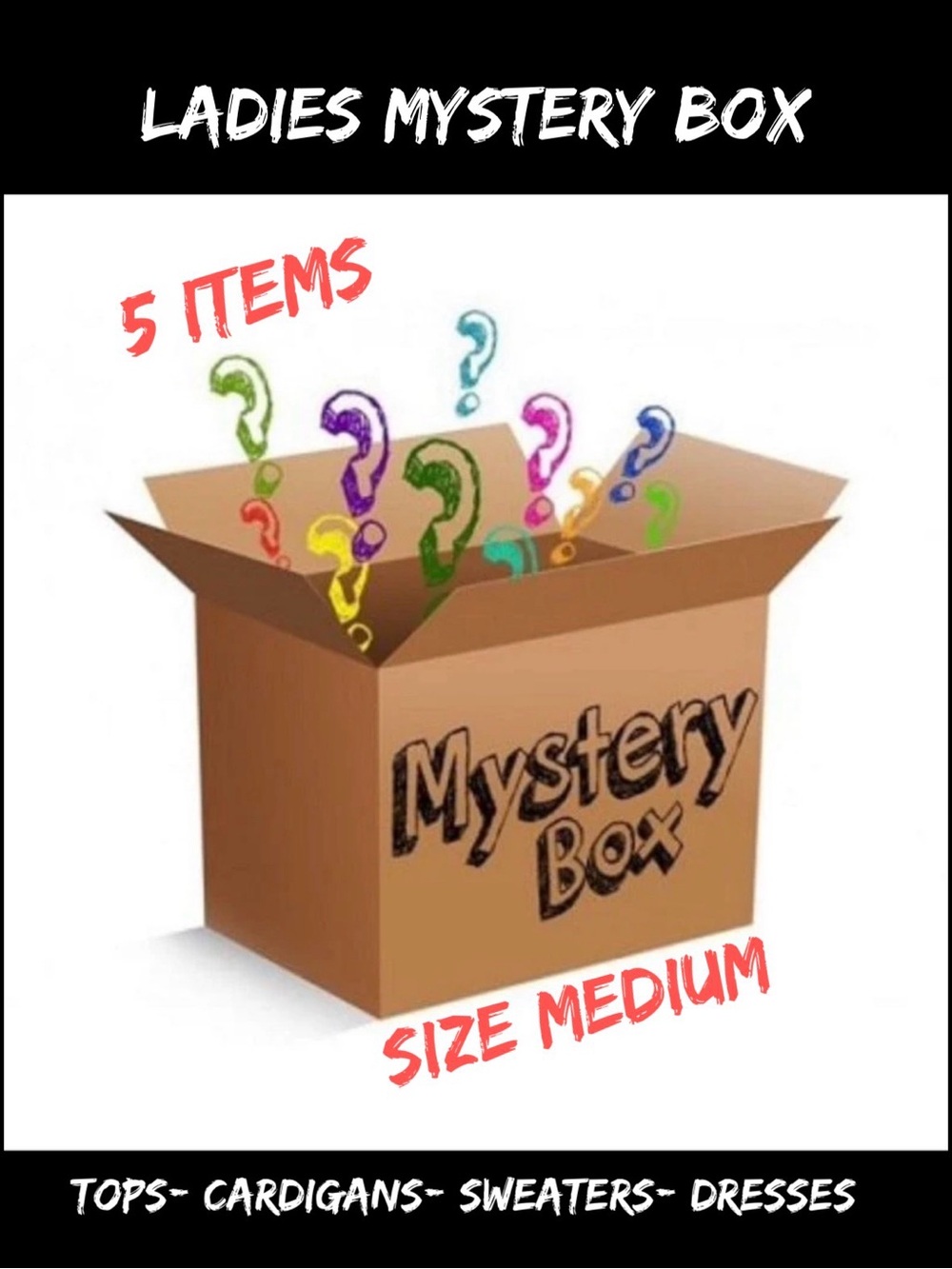 Mystery Box- Ladies Tops Medium